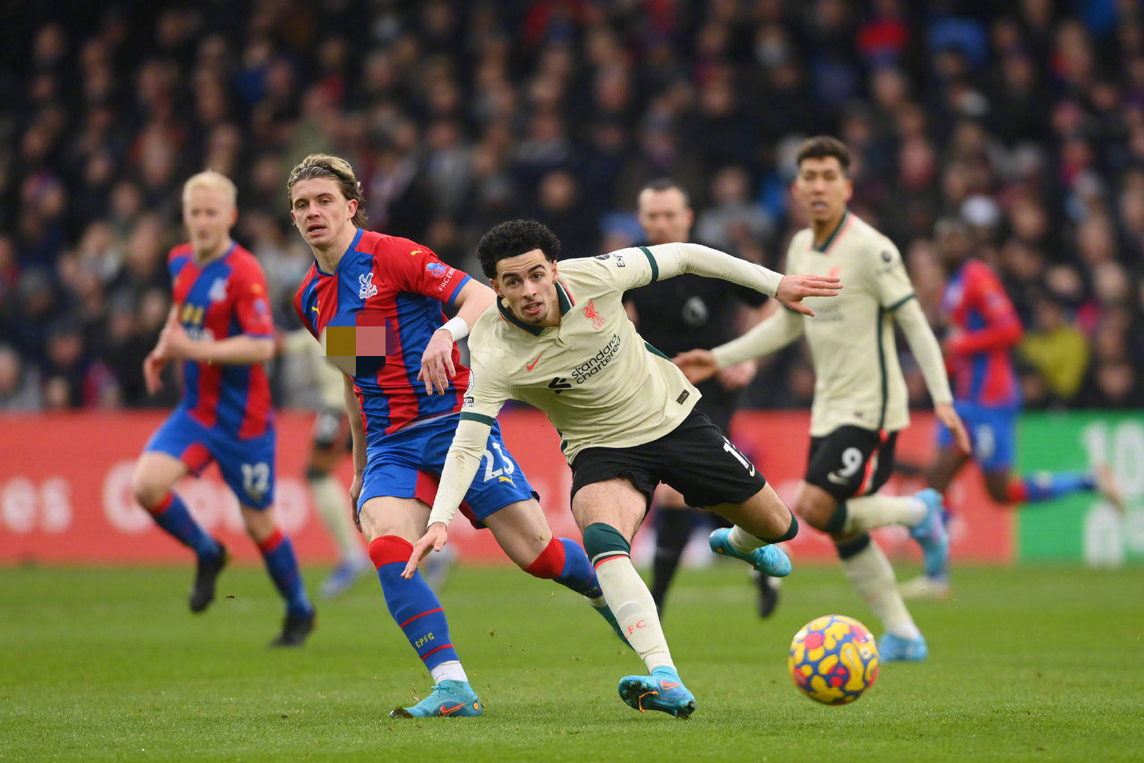 养还是对整 养还是对整